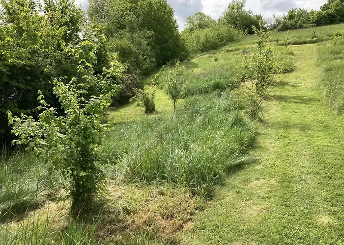 Le Clos De Bajardan Couloume-Mondebat